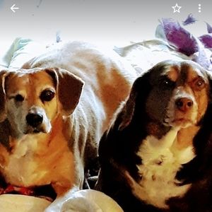 Meet your Posher, Lori